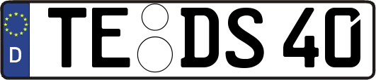 TE-DS40