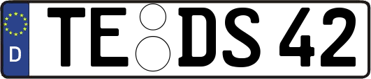 TE-DS42