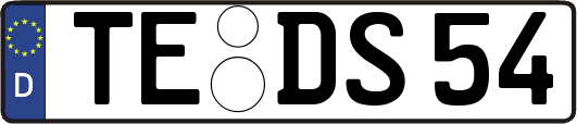 TE-DS54