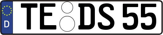 TE-DS55