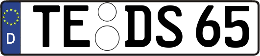 TE-DS65
