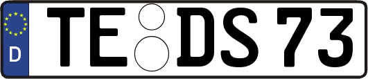 TE-DS73