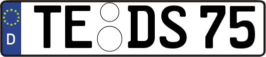 TE-DS75