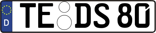 TE-DS80