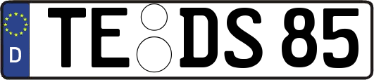TE-DS85