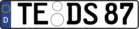 TE-DS87