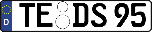 TE-DS95