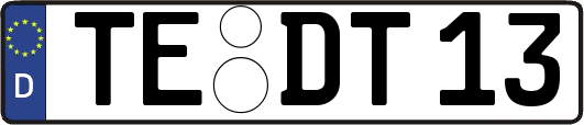 TE-DT13