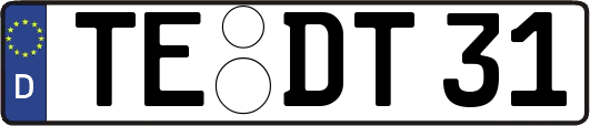 TE-DT31