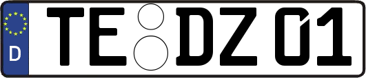 TE-DZ01