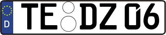 TE-DZ06