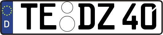TE-DZ40