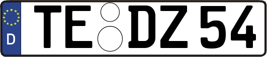 TE-DZ54