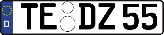 TE-DZ55