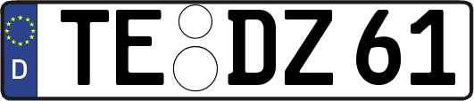 TE-DZ61