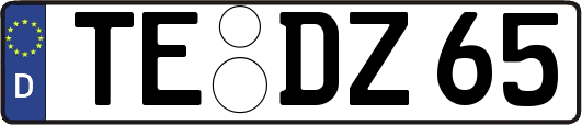 TE-DZ65