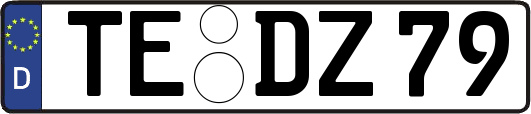 TE-DZ79