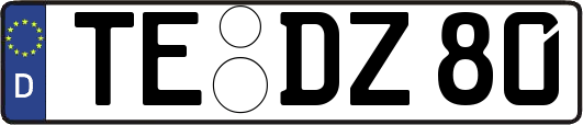 TE-DZ80