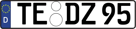 TE-DZ95