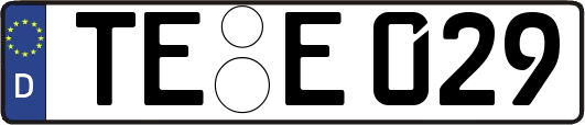 TE-E029