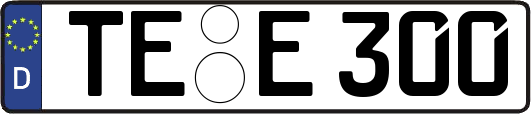 TE-E300