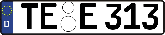 TE-E313