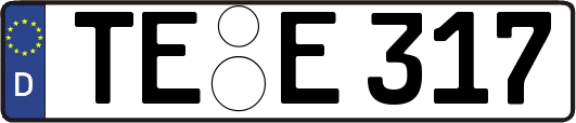 TE-E317