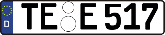TE-E517