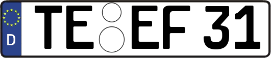 TE-EF31