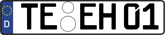 TE-EH01