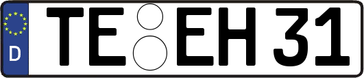 TE-EH31
