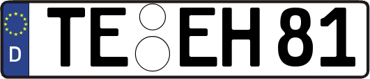 TE-EH81