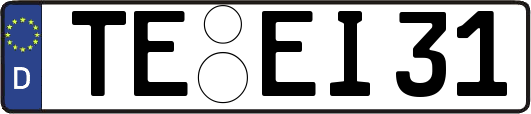 TE-EI31