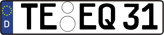 TE-EQ31