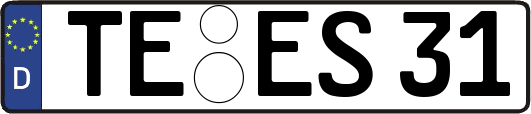 TE-ES31