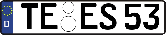 TE-ES53