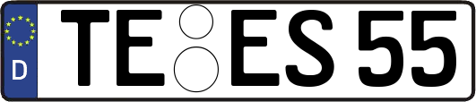 TE-ES55