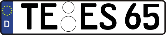 TE-ES65