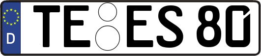 TE-ES80