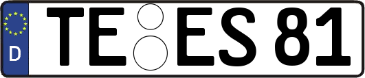 TE-ES81