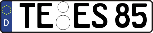TE-ES85