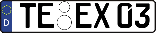 TE-EX03