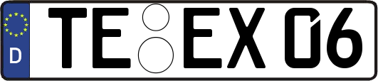 TE-EX06