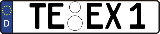 TE-EX1