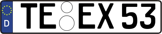 TE-EX53