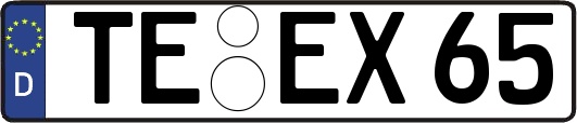 TE-EX65