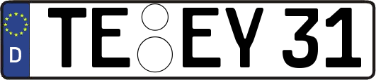 TE-EY31