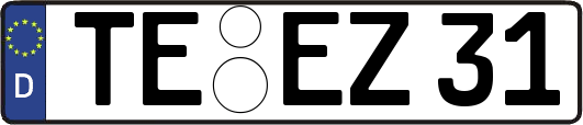 TE-EZ31