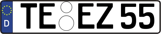 TE-EZ55