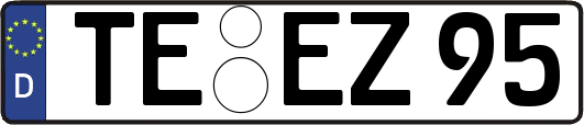 TE-EZ95